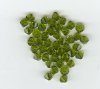25 Olivine 5mm Bicone Swarovski
